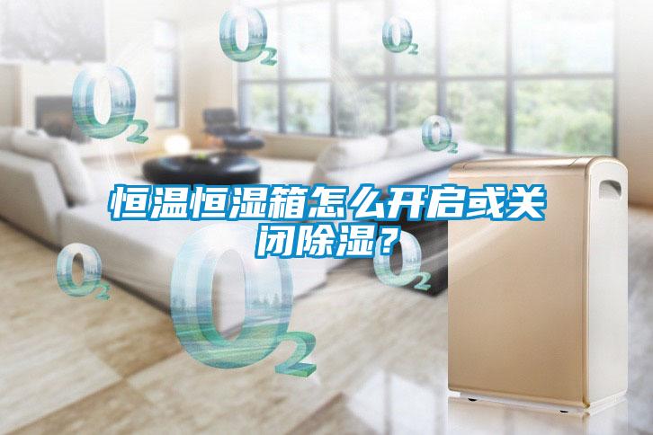 恒溫恒濕箱怎么開啟或關閉除濕？