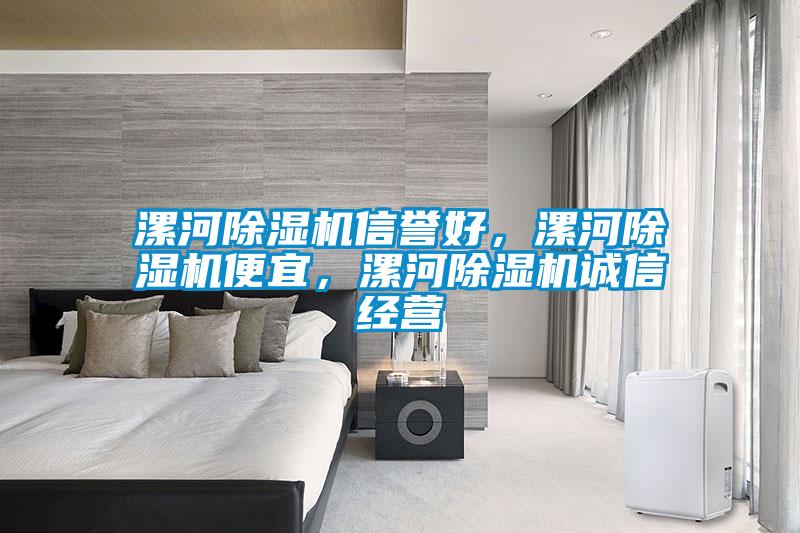 漯河除濕機信譽好，漯河除濕機便宜，漯河除濕機誠信經(jīng)營