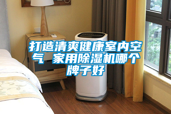 打造清爽健康室內空氣 家用除濕機哪個牌子好