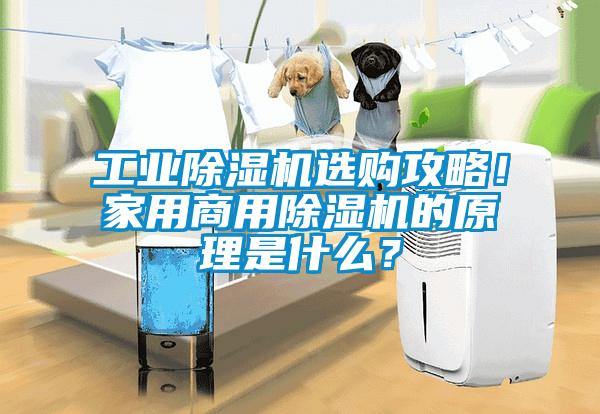 工業除濕機選購攻略！家用商用除濕機的原理是什么？