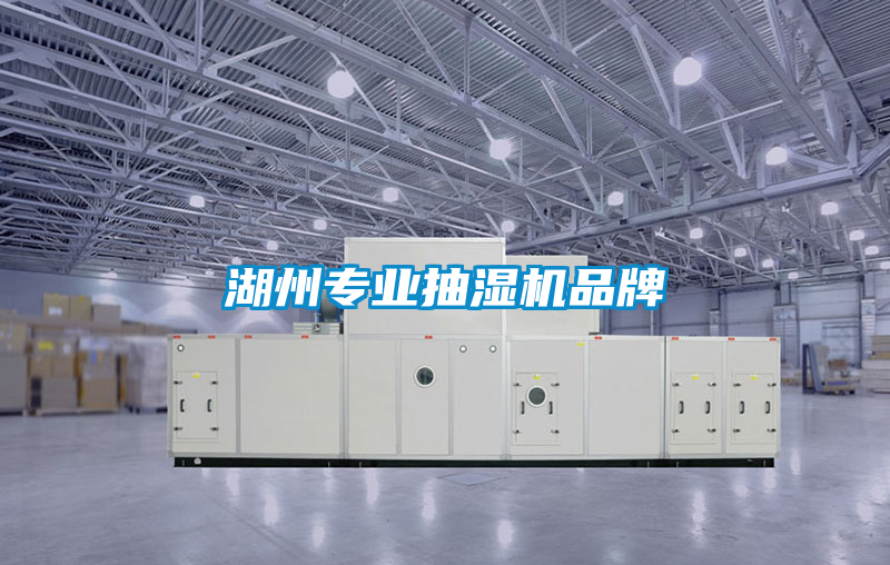 湖州專業抽濕機品牌