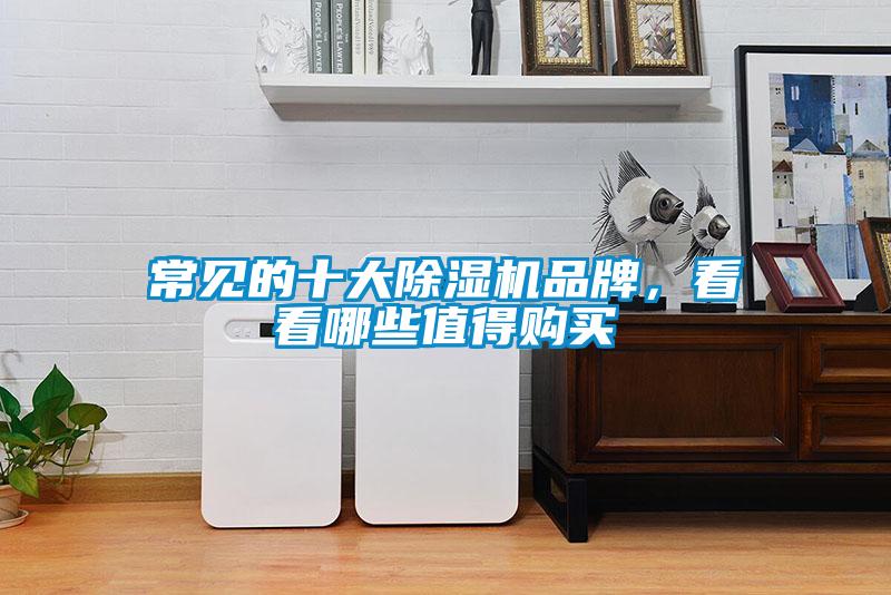 常見的十大除濕機品牌，看看哪些值得購買