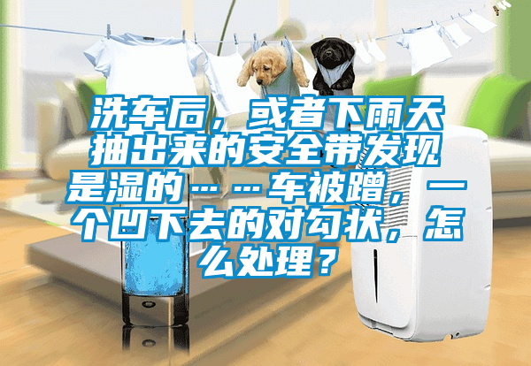 洗車后，或者下雨天抽出來的安全帶發(fā)現(xiàn)是濕的……車被蹭，一個凹下去的對勾狀，怎么處理？
