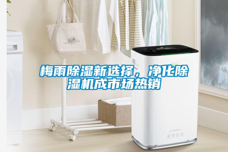 梅雨除濕新選擇，凈化除濕機(jī)成市場(chǎng)熱銷