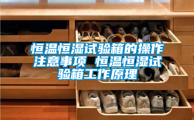 恒溫恒濕試驗(yàn)箱的操作注意事項(xiàng) 恒溫恒濕試驗(yàn)箱工作原理