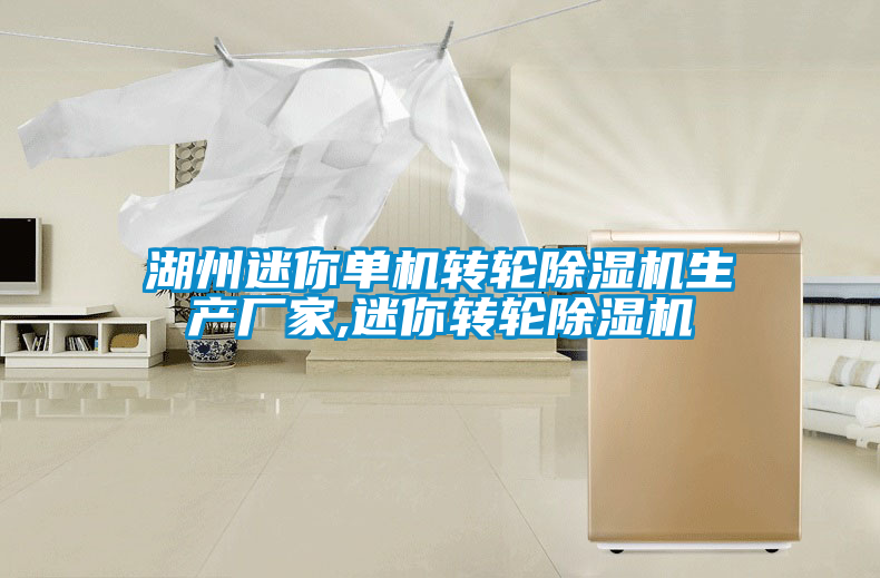 湖州迷你單機轉輪除濕機生產廠家,迷你轉輪除濕機