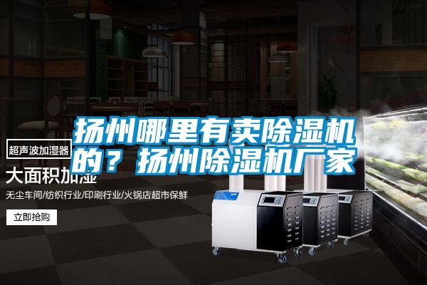 揚州哪里有賣除濕機的？揚州除濕機廠家