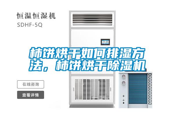 柿餅烘干如何排濕方法，柿餅烘干除濕機