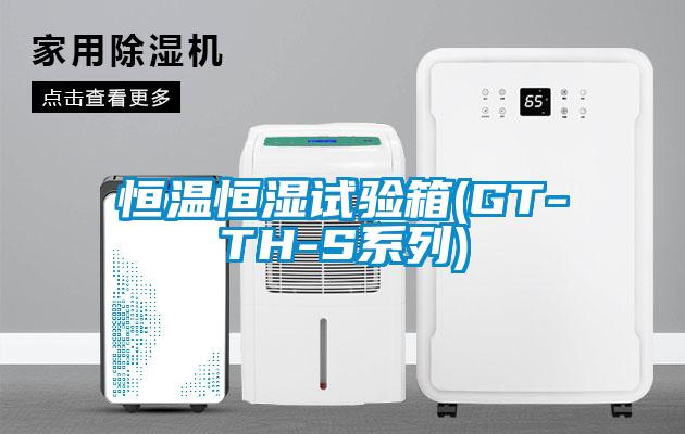 恒溫恒濕試驗箱(GT-TH-S系列)