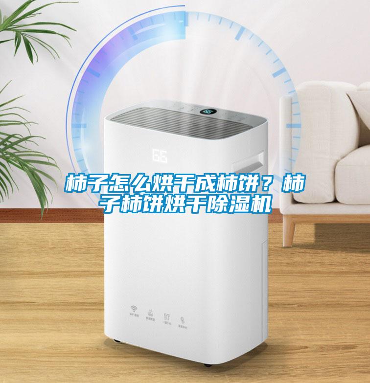 柿子怎么烘干成柿餅？柿子柿餅烘干除濕機(jī)