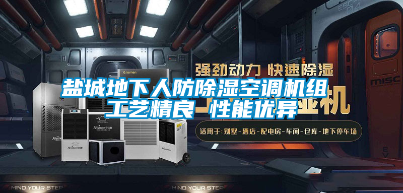 鹽城地下人防除濕空調(diào)機組 工藝精良 性能優(yōu)異