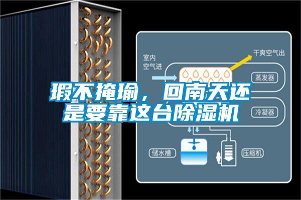瑕不掩瑜，回南天還是要靠這臺(tái)除濕機(jī)