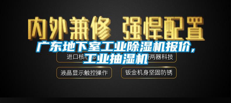 廣東地下室工業(yè)除濕機(jī)報(bào)價(jià),工業(yè)抽濕機(jī)