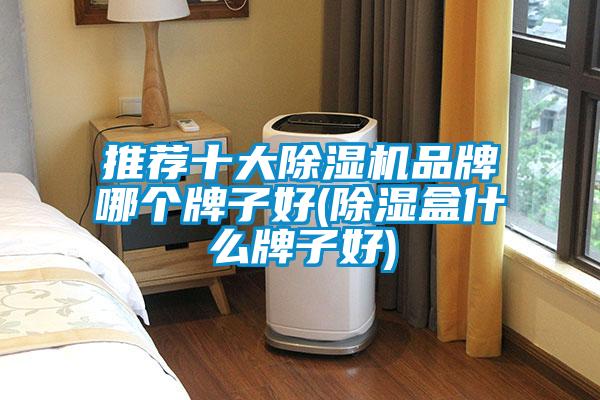 推薦十大除濕機品牌哪個牌子好(除濕盒什么牌子好)