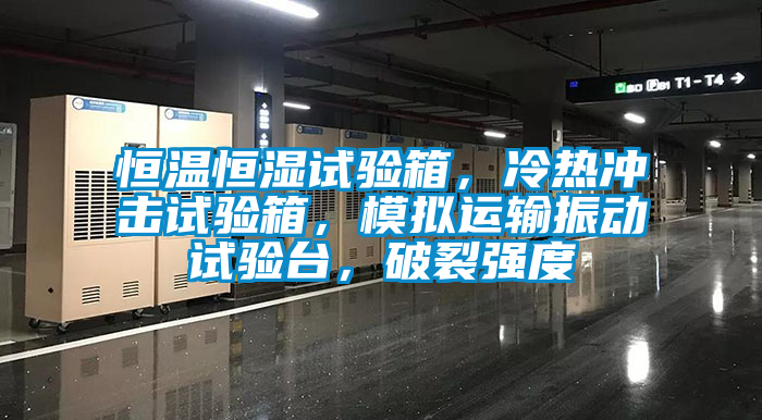 恒溫恒濕試驗(yàn)箱，冷熱沖擊試驗(yàn)箱，模擬運(yùn)輸振動(dòng)試驗(yàn)臺(tái)，破裂強(qiáng)度