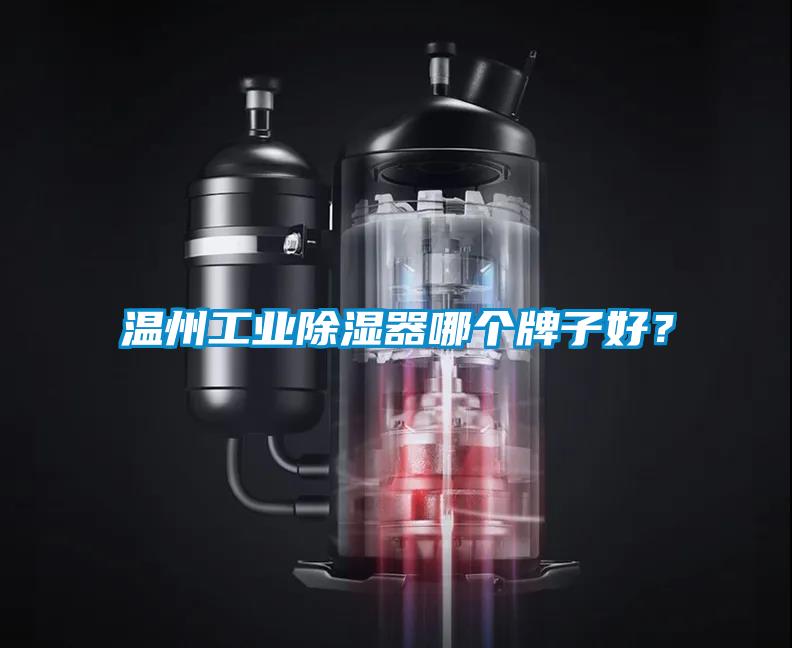 溫州工業除濕器哪個牌子好？