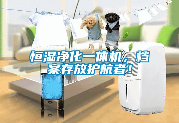 恒濕凈化一體機(jī)，檔案存放護(hù)航者！