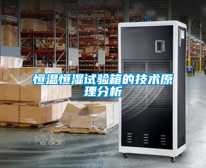 恒溫恒濕試驗(yàn)箱的技術(shù)原理分析