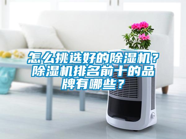 怎么挑選好的除濕機？除濕機排名前十的品牌有哪些？