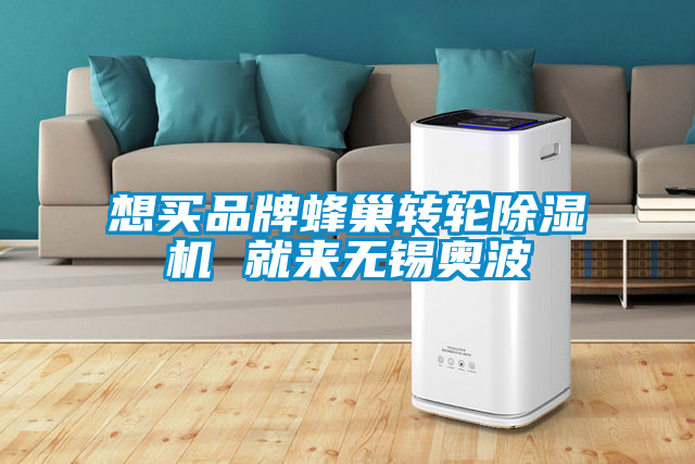 想買品牌蜂巢轉(zhuǎn)輪除濕機 就來無錫奧波
