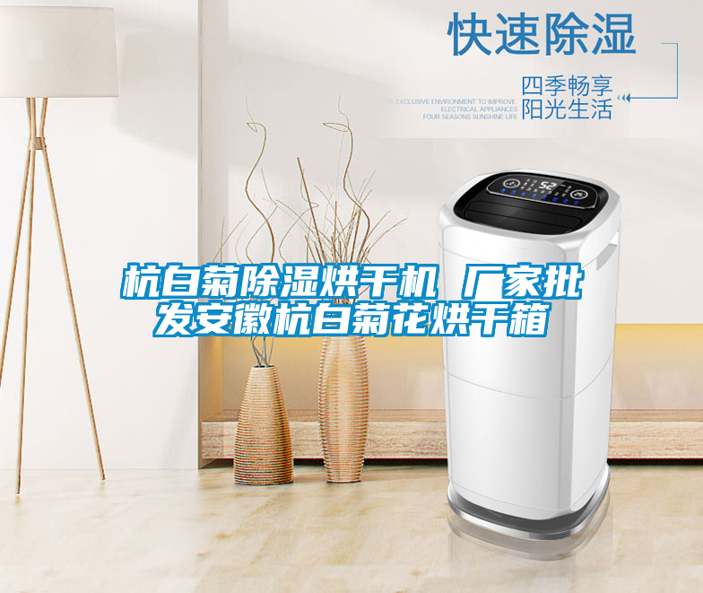 杭白菊除濕烘干機 廠家批發安徽杭白菊花烘干箱