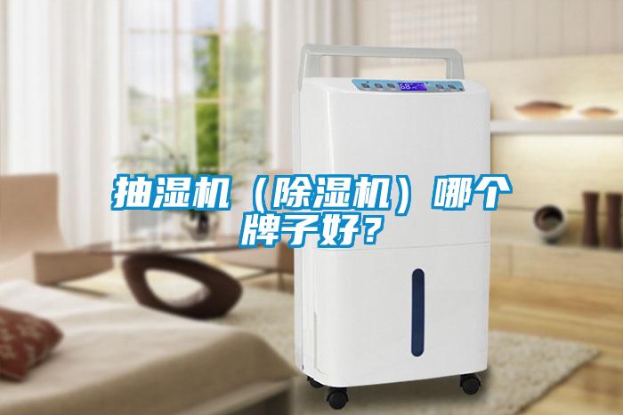抽濕機（除濕機）哪個牌子好？