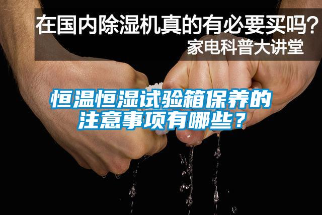 恒溫恒濕試驗(yàn)箱保養(yǎng)的注意事項(xiàng)有哪些？