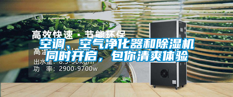 空調(diào)、空氣凈化器和除濕機(jī)同時(shí)開(kāi)啟，包你清爽體驗(yàn)