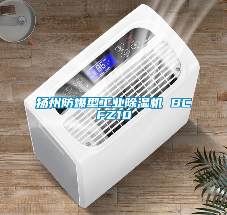 揚州防爆型工業除濕機 BCFZ10
