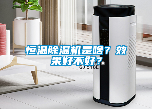 恒溫除濕機(jī)是啥？效果好不好？