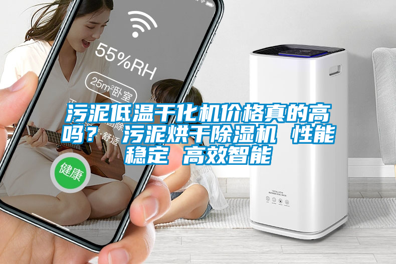 污泥低溫干化機價格真的高嗎？ 污泥烘干除濕機 性能穩定 高效智能