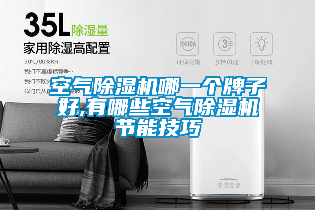 空氣除濕機哪一個牌子好,有哪些空氣除濕機節(jié)能技巧