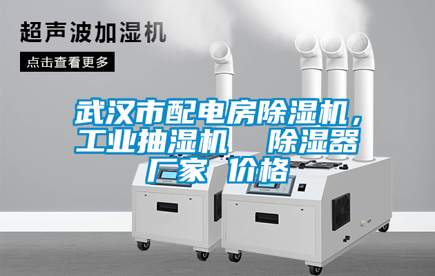 武漢市配電房除濕機(jī)，工業(yè)抽濕機(jī)  除濕器廠家 價(jià)格