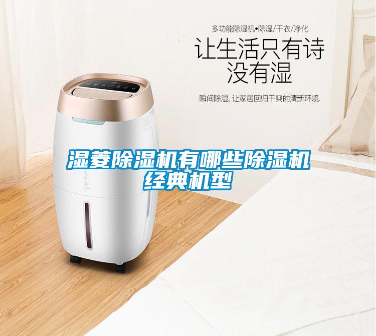濕菱除濕機有哪些除濕機經典機型