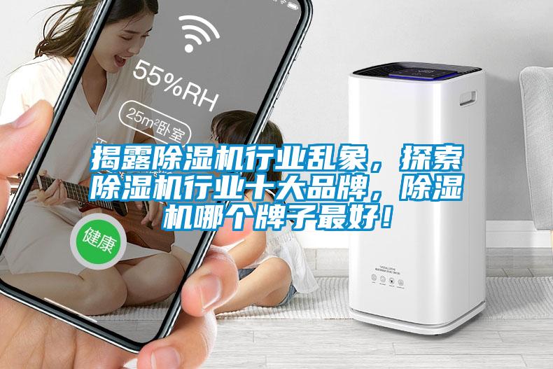 揭露除濕機行業亂象，探索除濕機行業十大品牌，除濕機哪個牌子最好！