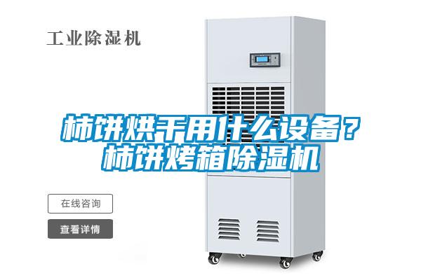 柿餅烘干用什么設備？柿餅烤箱除濕機