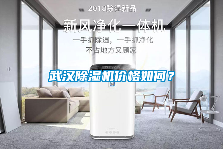 武漢除濕機(jī)價(jià)格如何？