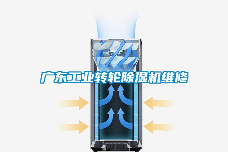 廣東工業(yè)轉輪除濕機維修