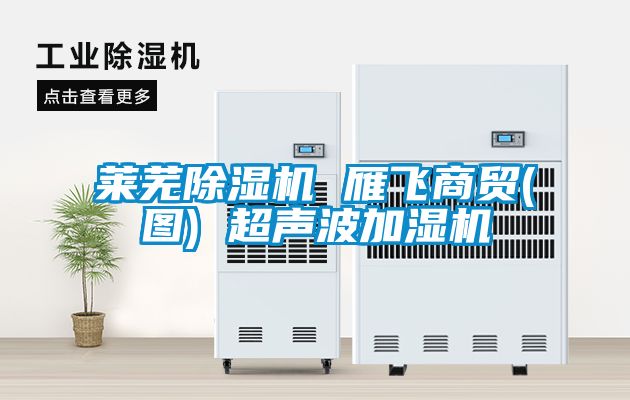 萊蕪除濕機 雁飛商貿(圖) 超聲波加濕機