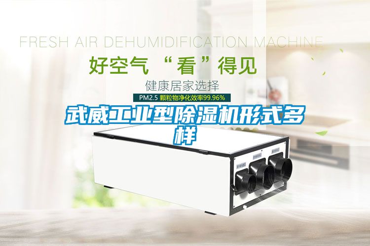 武威工業型除濕機形式多樣