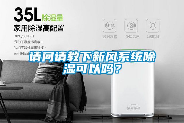 請問請教下新風系統除濕可以嗎？