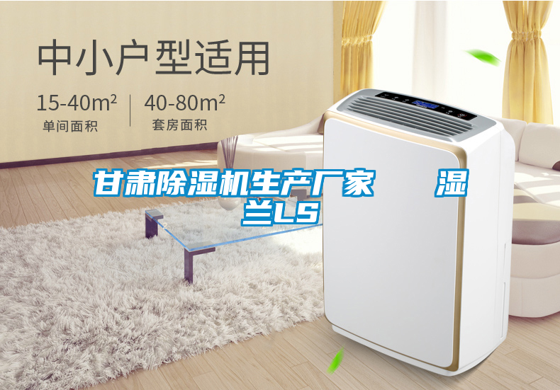 甘肅除濕機生產廠家   濕蘭LS