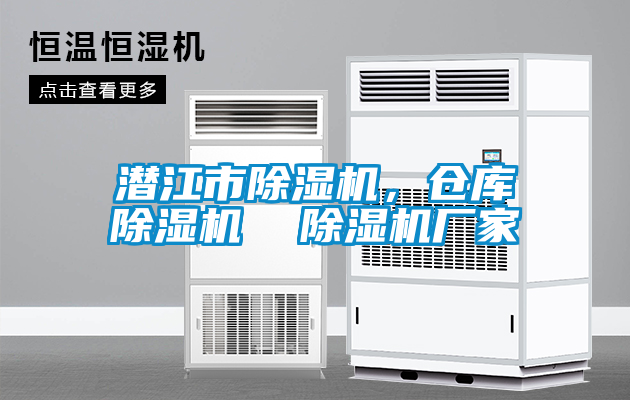 潛江市除濕機，倉庫除濕機  除濕機廠家