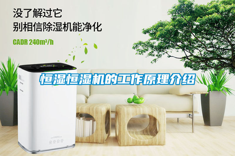 恒濕恒濕機的工作原理介紹