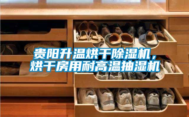 貴陽(yáng)升溫烘干除濕機(jī)，烘干房用耐高溫抽濕機(jī)