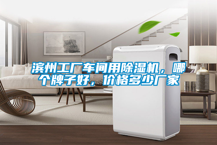 濱州工廠車間用除濕機，哪個牌子好，價格多少廠家