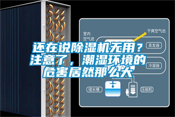 還在說(shuō)除濕機(jī)無(wú)用？注意了，潮濕環(huán)境的危害居然那么大