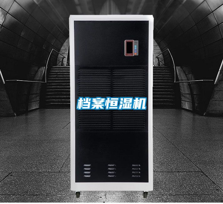 檔案恒濕機(jī)