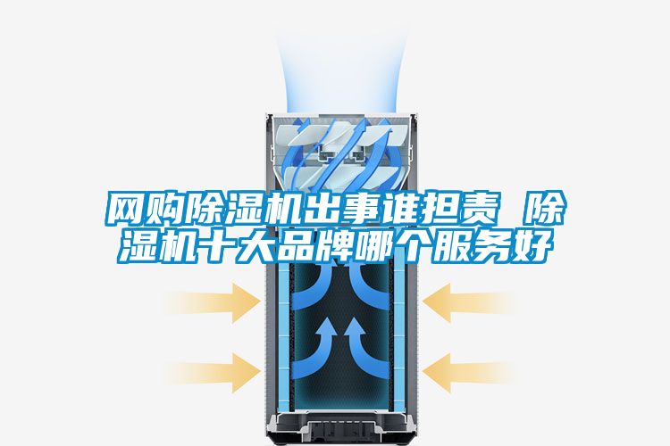 網購除濕機出事誰擔責 除濕機十大品牌哪個服務好