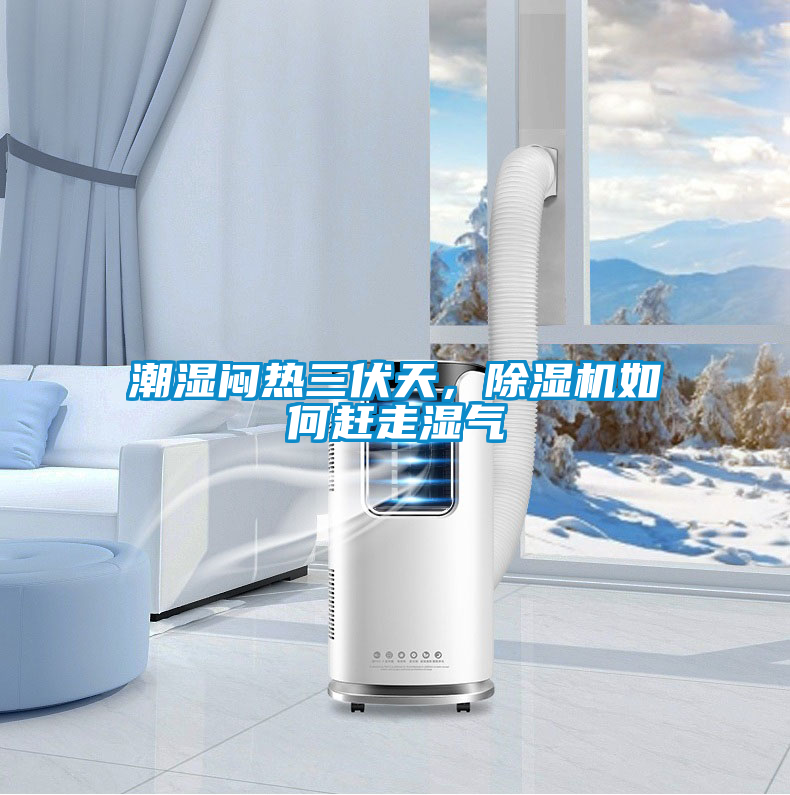 潮濕悶熱三伏天，除濕機如何趕走濕氣